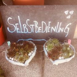 selbstbedienung