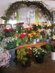 Blumengeschaeft_1